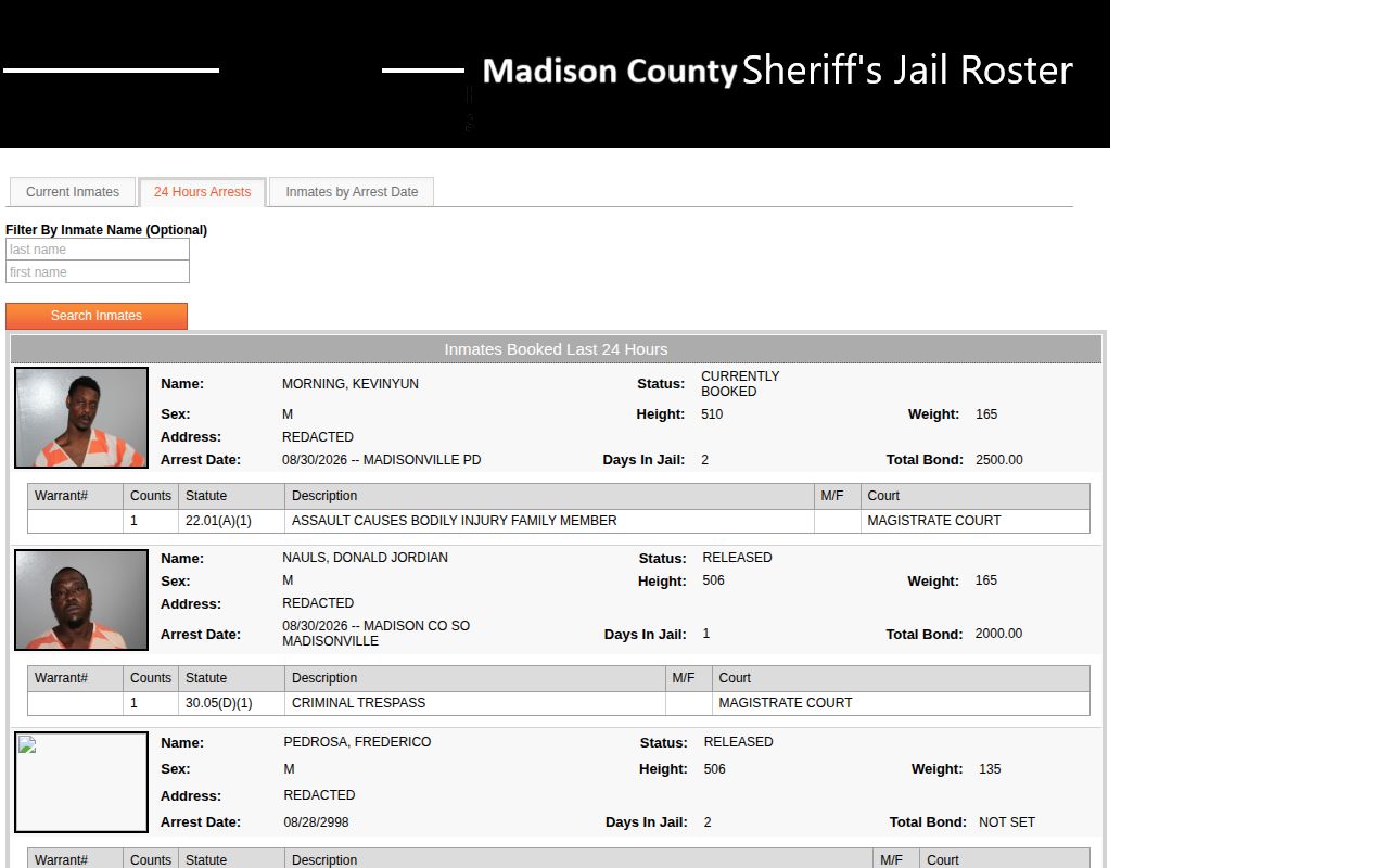 Madison County recent booking record window